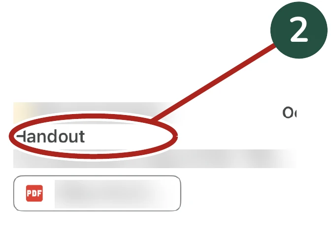 Enlarged detail for Step 2: The example email in the inbox. The same area is circled.