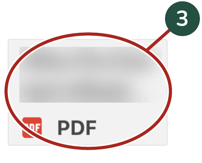 Enlarged detail for Step 3: The PDF attachment box. The same area is circled.
