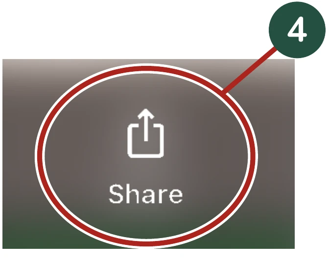 Enlarged detail for Step 4: The Share button. The same area is circled.