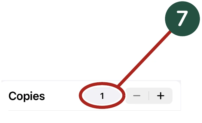 Enlarged detail for Step 7: The Copies setting showing one copy. The same area is circled.