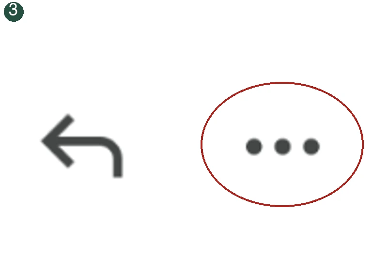 Detail 3: Tap the three dots. The relevant control is circled.