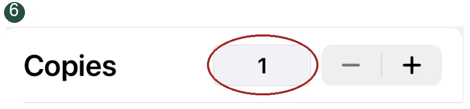 Detail 6: Check Copies. The relevant control is circled.