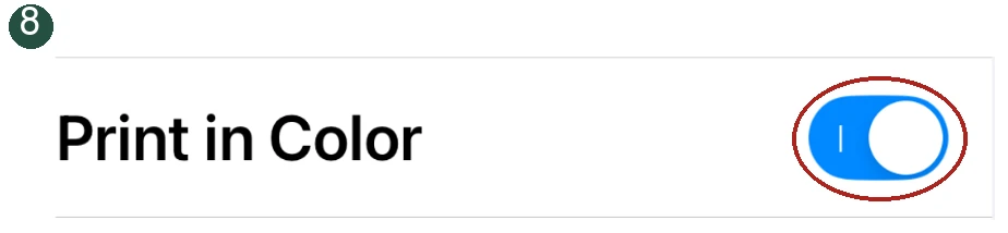 Detail 8: Turn color off. The relevant control is circled.