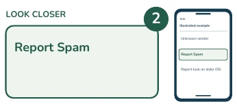 Illustrated phone and enlarged detail: Report Spam.